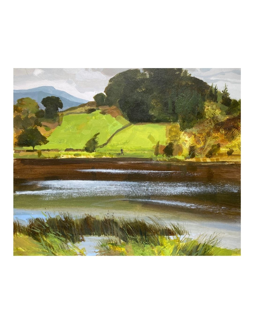 AL11 Bryn Bwbach Gwyndd Unframed Landscape by Allan Laycock