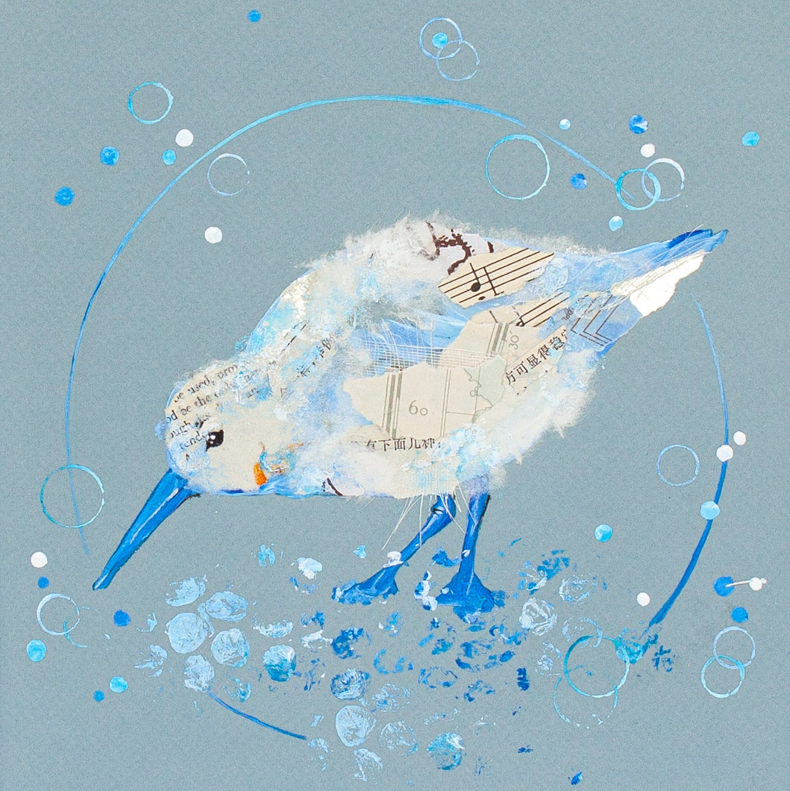 Jasper Sandpiper Card | Bird Blank Greetings Card
