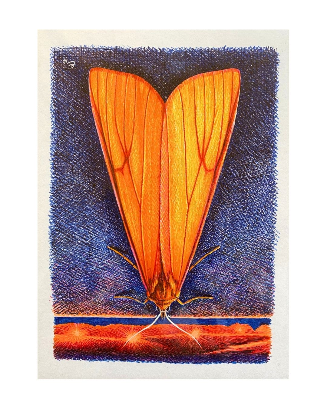 EC011 Moth with distant lights / pen drawing / A5 by Edward Clark