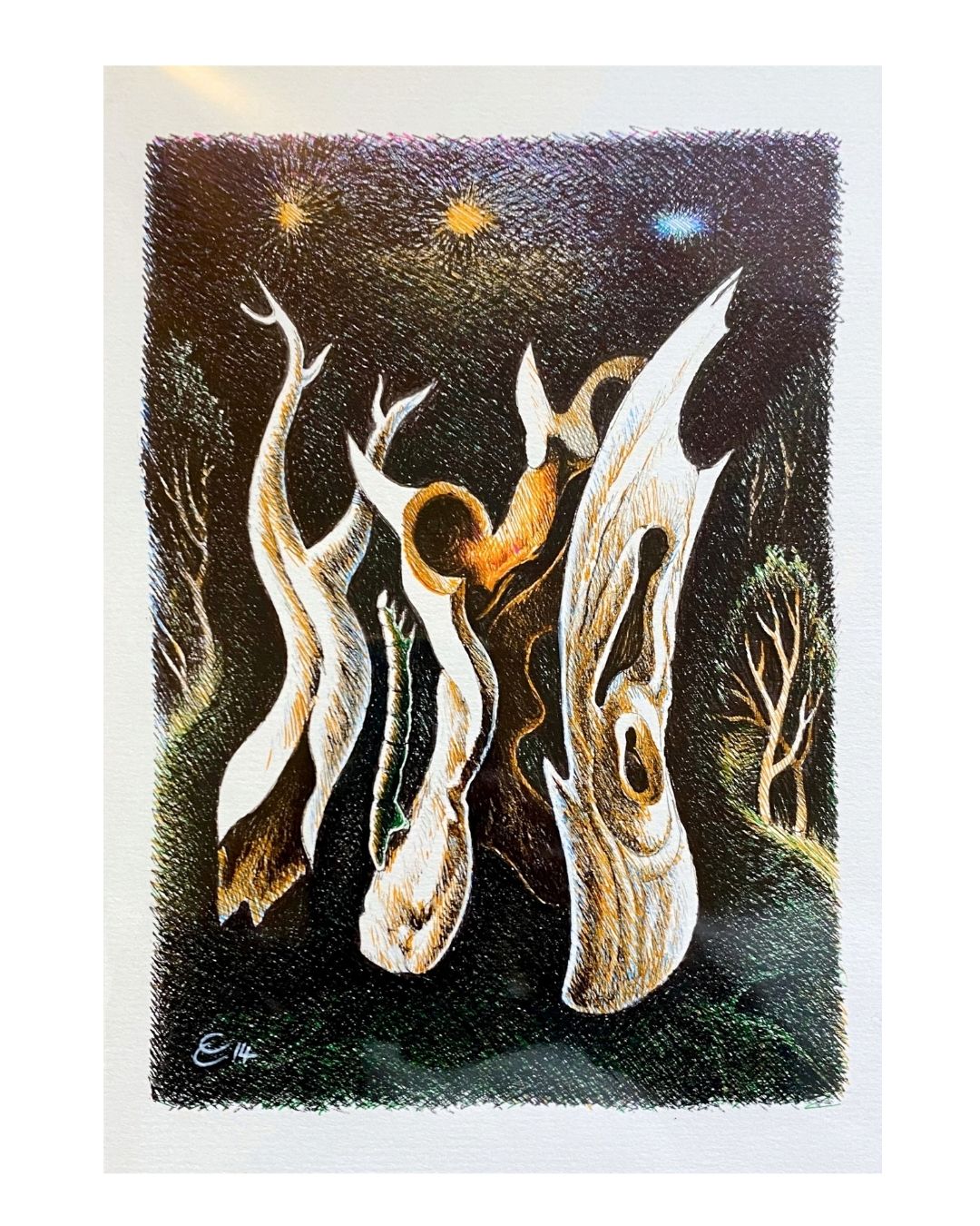 EC06 Tree Remains with distant lights / pen drawing / A5 by Edward Clark