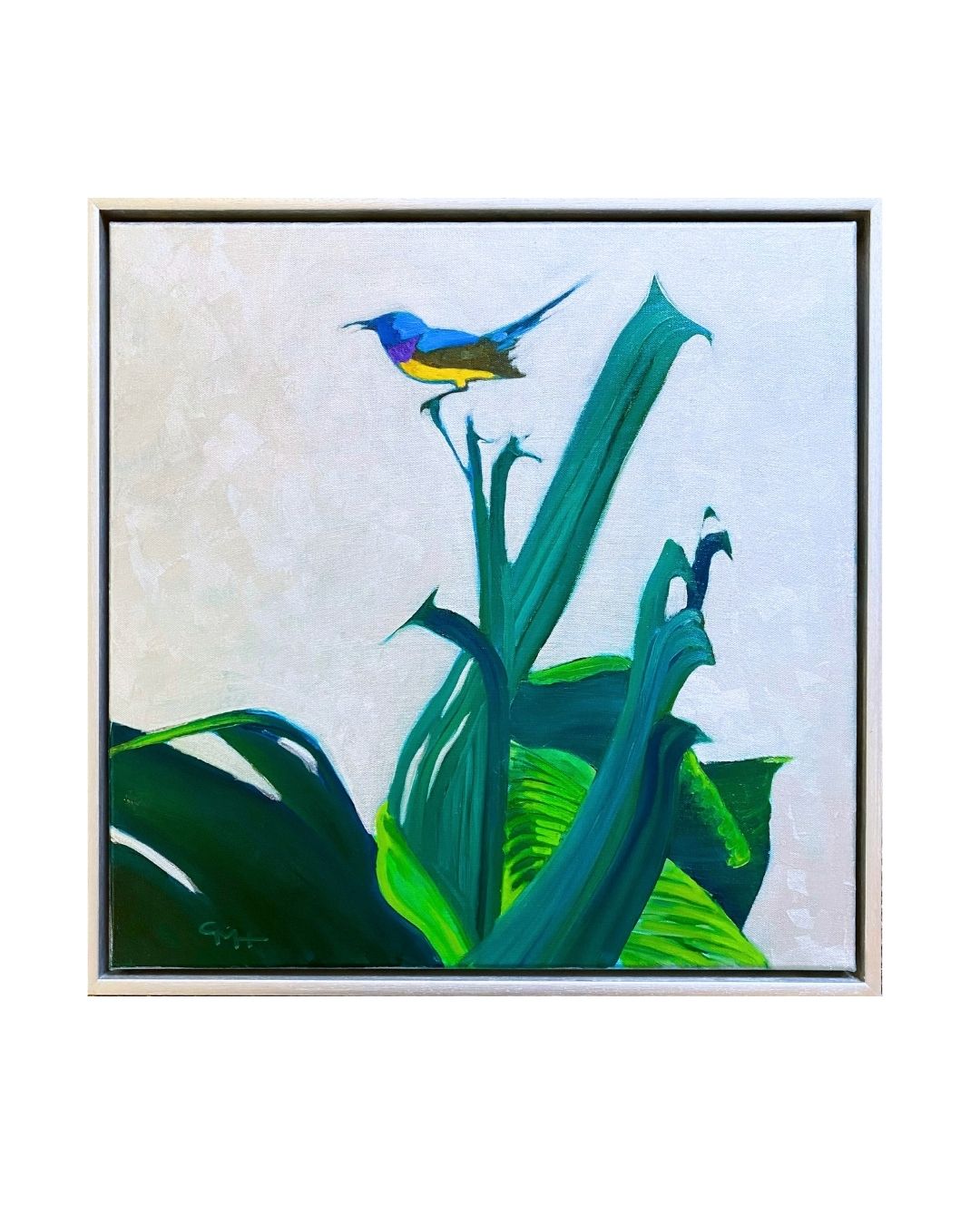 GH2 Variable Sunbird on Giant Strelitzia by Gilly Hill