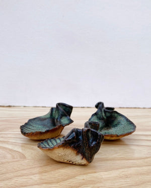 DL21 Shell Derek Lamb Ceramics
