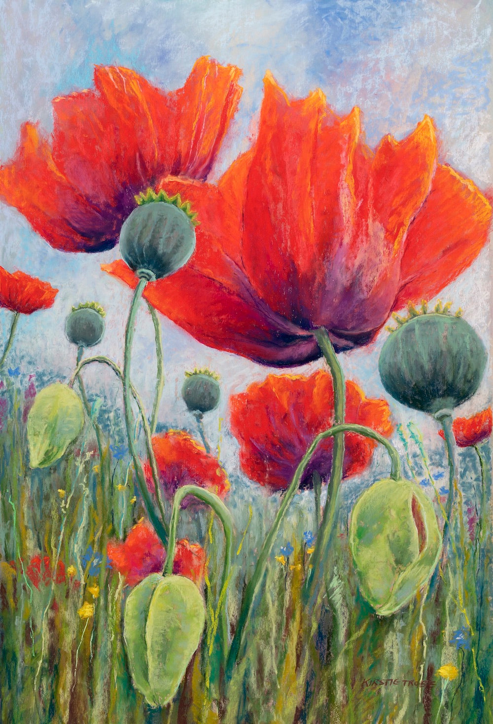 KT10 Original Pastel Poppy by Kirstie Trobe