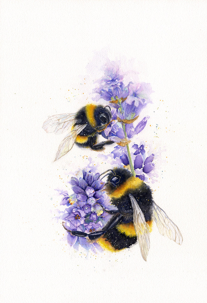 KT29 Bees with Lavender 8”x10” Giclée Print by Kirstie Trobe