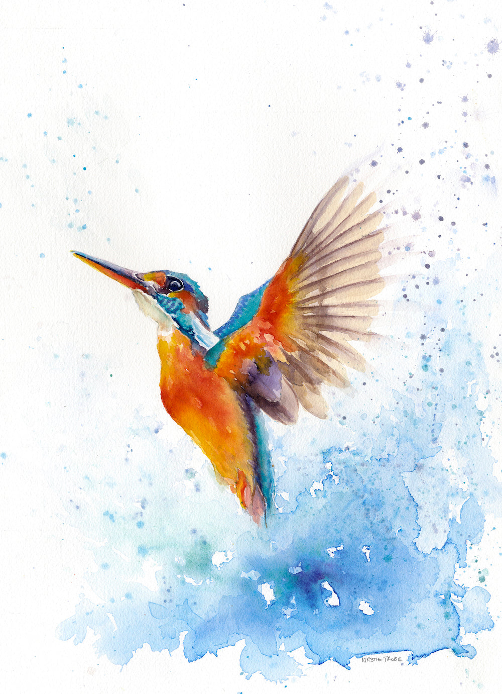 KT36 Kingfisher in Flight 8”x10” Giclée Print by Kirstie Trobe