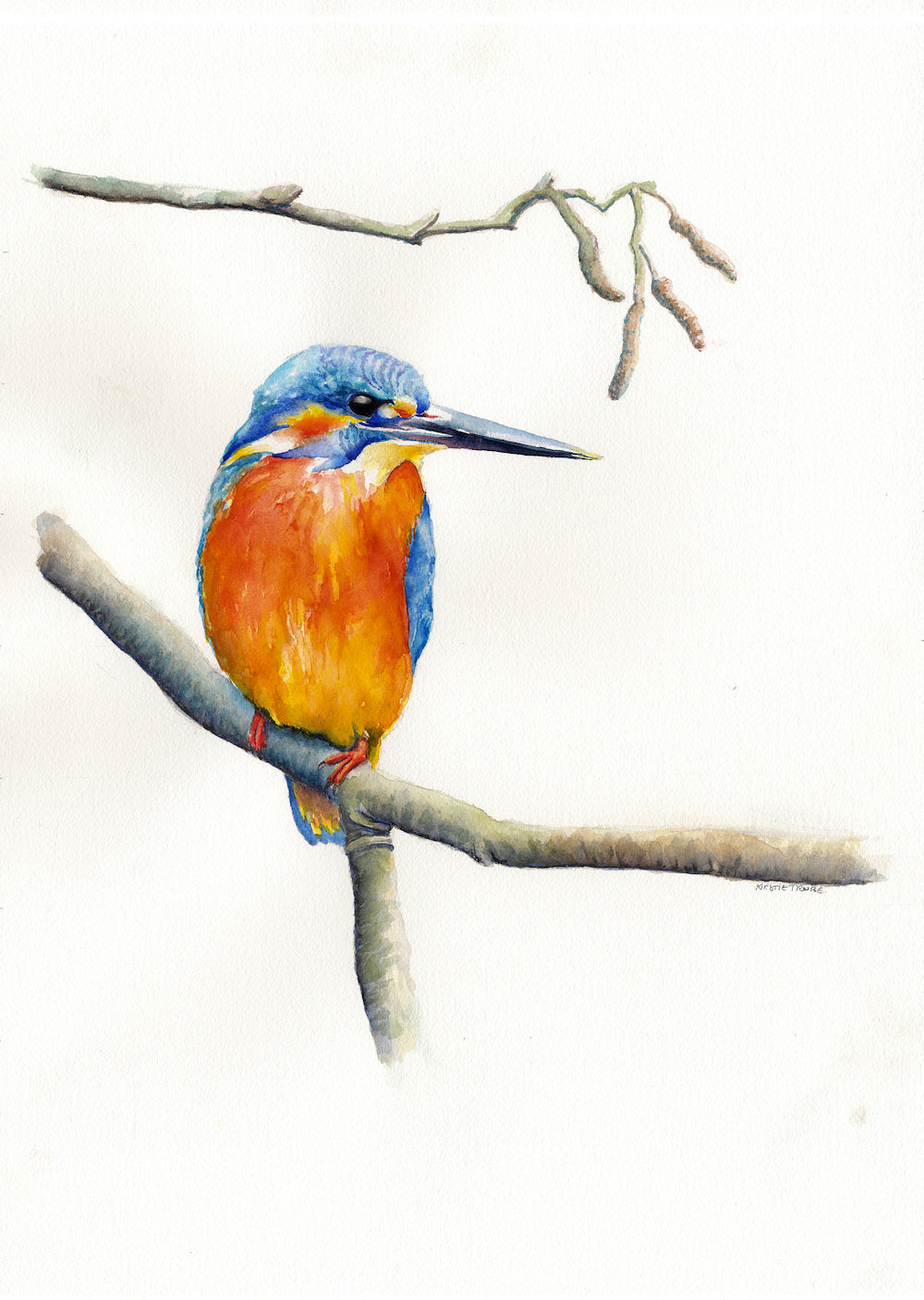 KT35 Kingfisher Resting 8”x10” Giclée Print by Kirstie Trobe